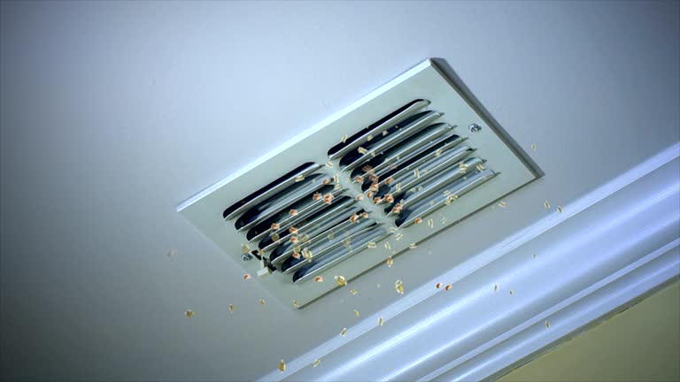 Home Air Vent Cleaning in Seadrift, TX